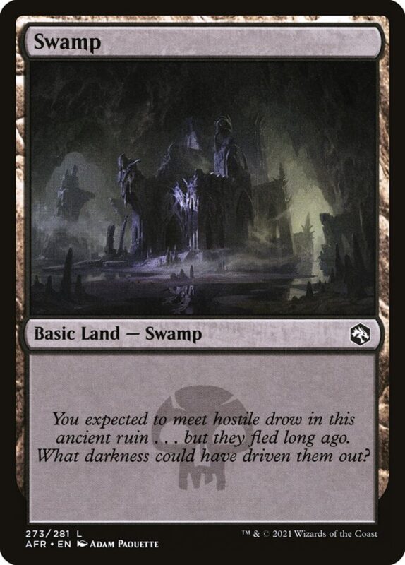 Swamp — afr 273 — Magic The Gathering TCG