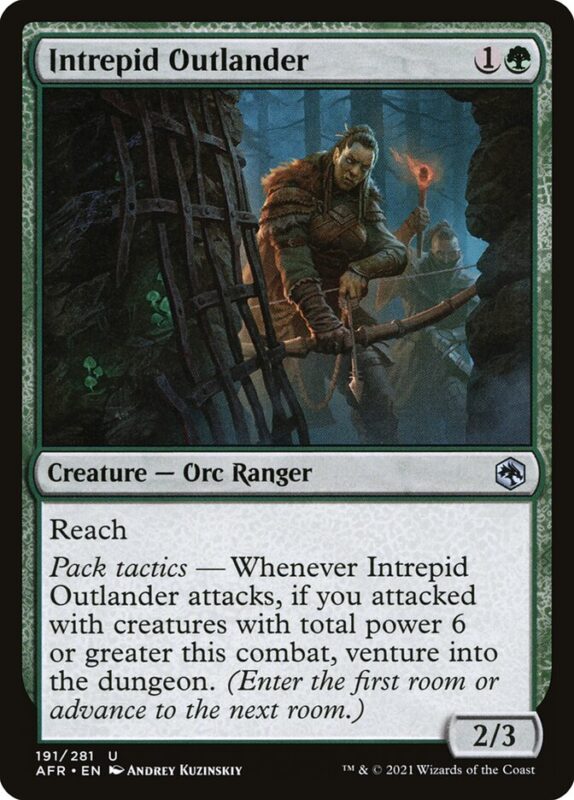 Intrepid Outlander — afr 191 — Magic The Gathering TCG