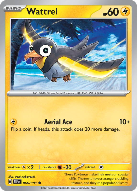 Wattrel — sv8 66 — Pokémon TCG