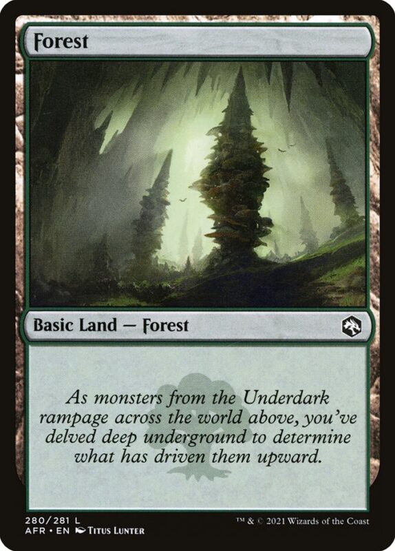 Forest — afr 280 — Magic The Gathering TCG