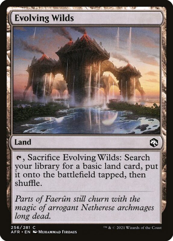 Evolving Wilds — afr 256 — Magic The Gathering TCG