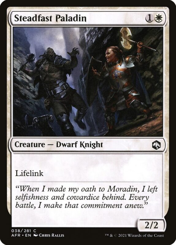 Steadfast Paladin — afr 38 — Magic The Gathering TCG