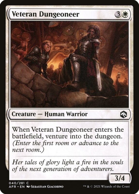 Veteran Dungeoneer — afr 40 — Magic The Gathering TCG