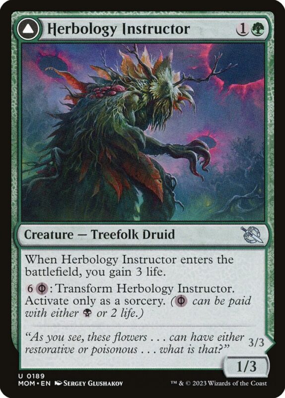 Herbology Instructor // Malady Invoker — mom 189 — Magic The Gathering TCG