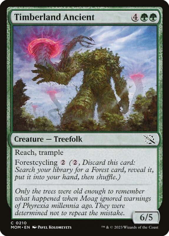 Timberland Ancient — mom 210 — Magic The Gathering TCG