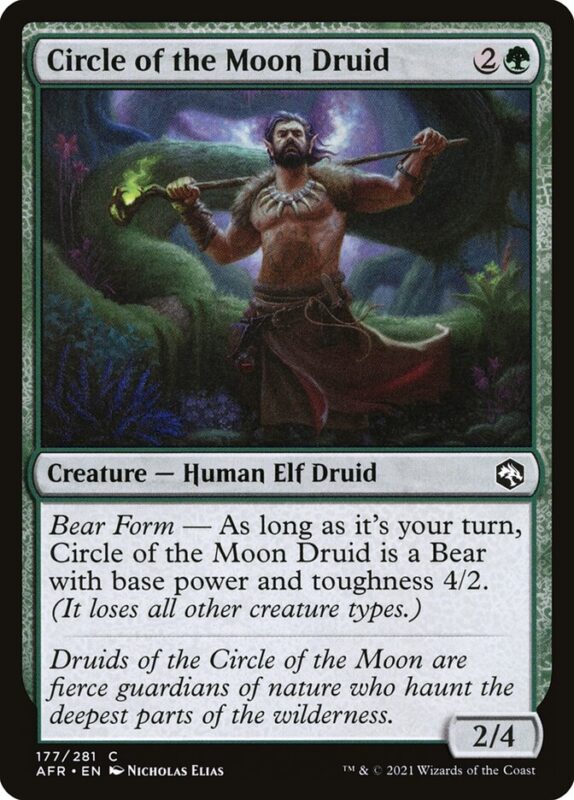 Circle of the Moon Druid — afr 177 — Magic The Gathering TCG