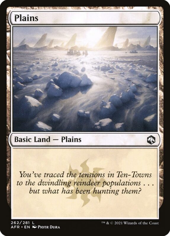 Plains — afr 262 — Magic The Gathering TCG
