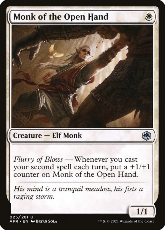 Monk of the Open Hand — afr 25 — Magic The Gathering TCG